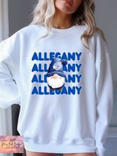 Load image into Gallery viewer, Allegany Winter Gnome Tee/Sweatshirt