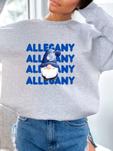Load image into Gallery viewer, Allegany Winter Gnome Tee/Sweatshirt