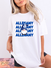 Load image into Gallery viewer, Allegany Winter Gnome Tee/Sweatshirt