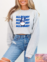 Load image into Gallery viewer, Allegany Winter Gnome Tee/Sweatshirt