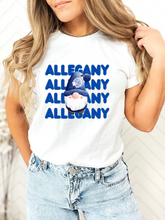 Load image into Gallery viewer, Allegany Winter Gnome Tee/Sweatshirt