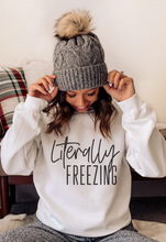 Load image into Gallery viewer, Literally Freezing Sweatshirt, Your Choice of Color