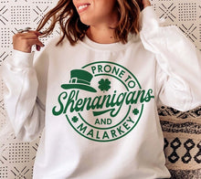 Load image into Gallery viewer, Prone to Shenanigans and Malarkey Tee/Sweatshirt