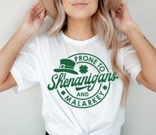 Load image into Gallery viewer, Prone to Shenanigans and Malarkey Tee/Sweatshirt