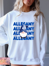 Load image into Gallery viewer, Allegany Winter Gnome Tee/Sweatshirt
