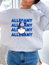 Load image into Gallery viewer, Allegany Winter Gnome Tee/Sweatshirt
