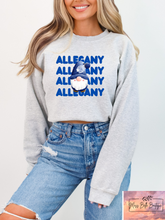 Load image into Gallery viewer, Allegany Winter Gnome Tee/Sweatshirt
