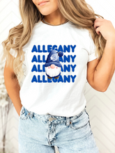 Load image into Gallery viewer, Allegany Winter Gnome Tee/Sweatshirt
