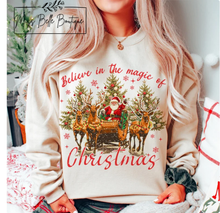 Load image into Gallery viewer, Believe in the Magic of Christmas Tee/Crewneck
