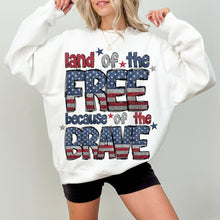 Load image into Gallery viewer, Land of the Free tee/sweatshirt
